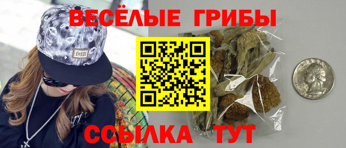 Галлюциногенные грибы мицелий  Вход с VPN  Галлюциногенные грибы мицелий  купить наркоту  Саратов 
